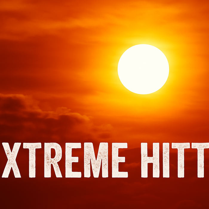 Hoe houd je medicijnen gekoeld tijdens extreme hitte?