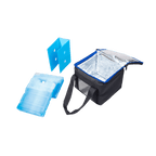 parts of the icool medicube medication cooling bag